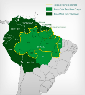 Brasil Brasil